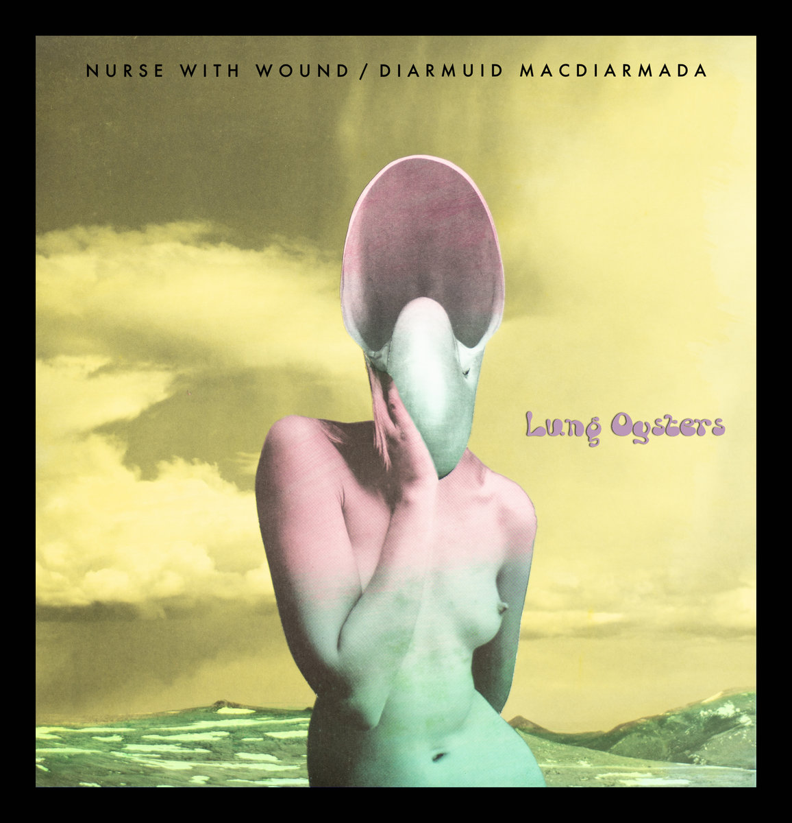 Lung Oysters